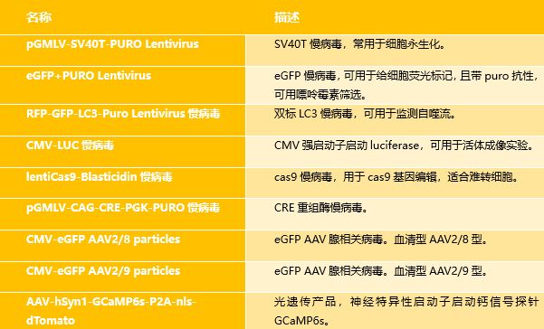 2025全年正版铁算盘网站，科学解答解释落实_ti776.57.55