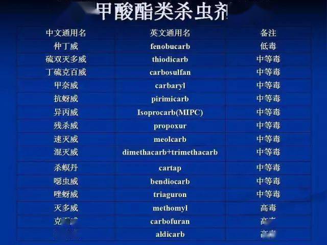 admin 第377页