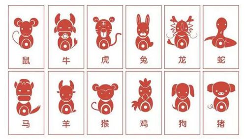 今晚9点35出什么生肖，构建解答解释落实_3777.69.27